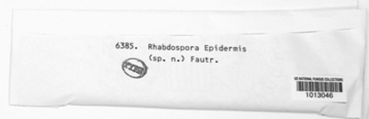 Rhabdospora epidermidis image